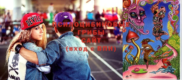 PSILOCYBIN Ладушкин