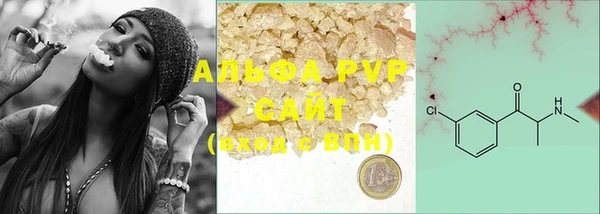 PSILOCYBIN Ладушкин