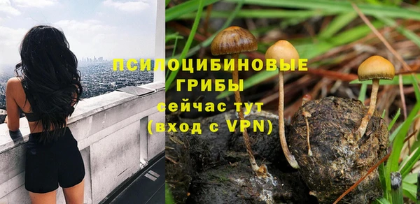 первитин Лабытнанги