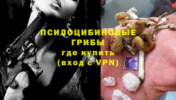первитин Лабытнанги