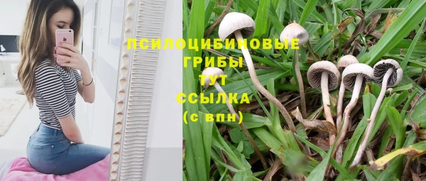 первитин Лабытнанги