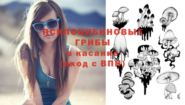 PSILOCYBIN Ладушкин
