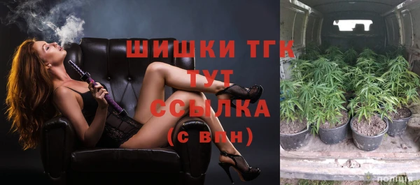 первитин Лабытнанги