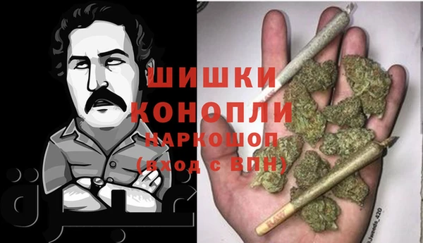 PSILOCYBIN Ладушкин