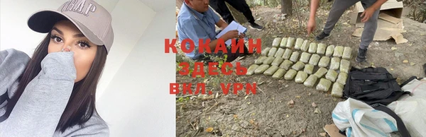 PSILOCYBIN Ладушкин