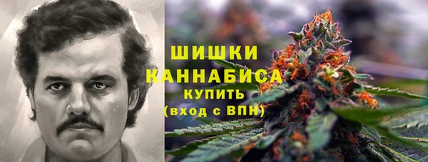 первитин Лабытнанги