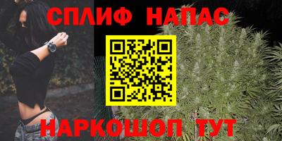 PSILOCYBIN Балахна