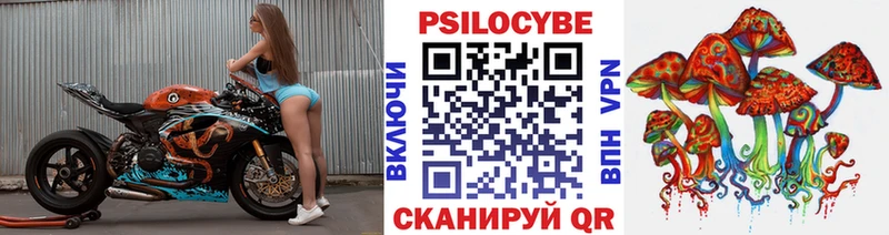 Галлюциногенные грибы GOLDEN TEACHER  кракен сайт  Черняховск 