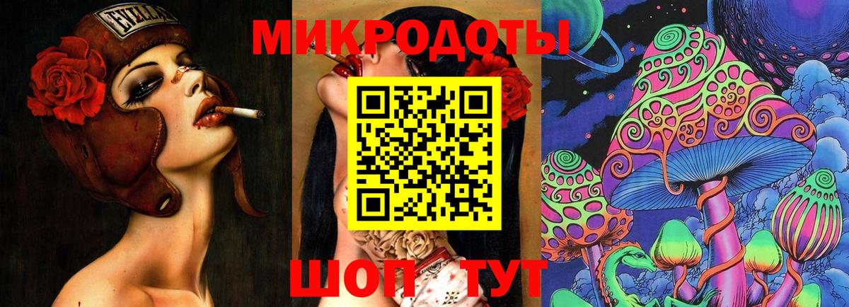 Псилоцибиновые грибы Psilocybine cubensis  Черняховск 