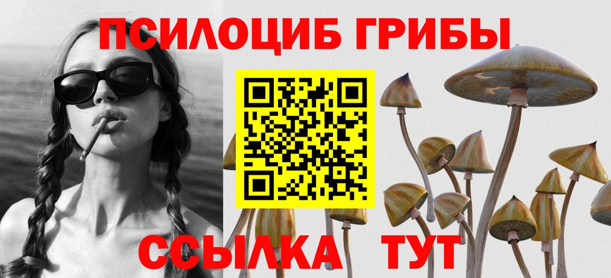 Черняховск  Псилоцибиновые грибы мицелий  Вход с VPN  Псилоцибиновые грибы ЛСД 