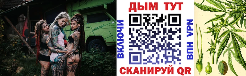 купить   Черняховск  Конопля SATIVA & INDICA 